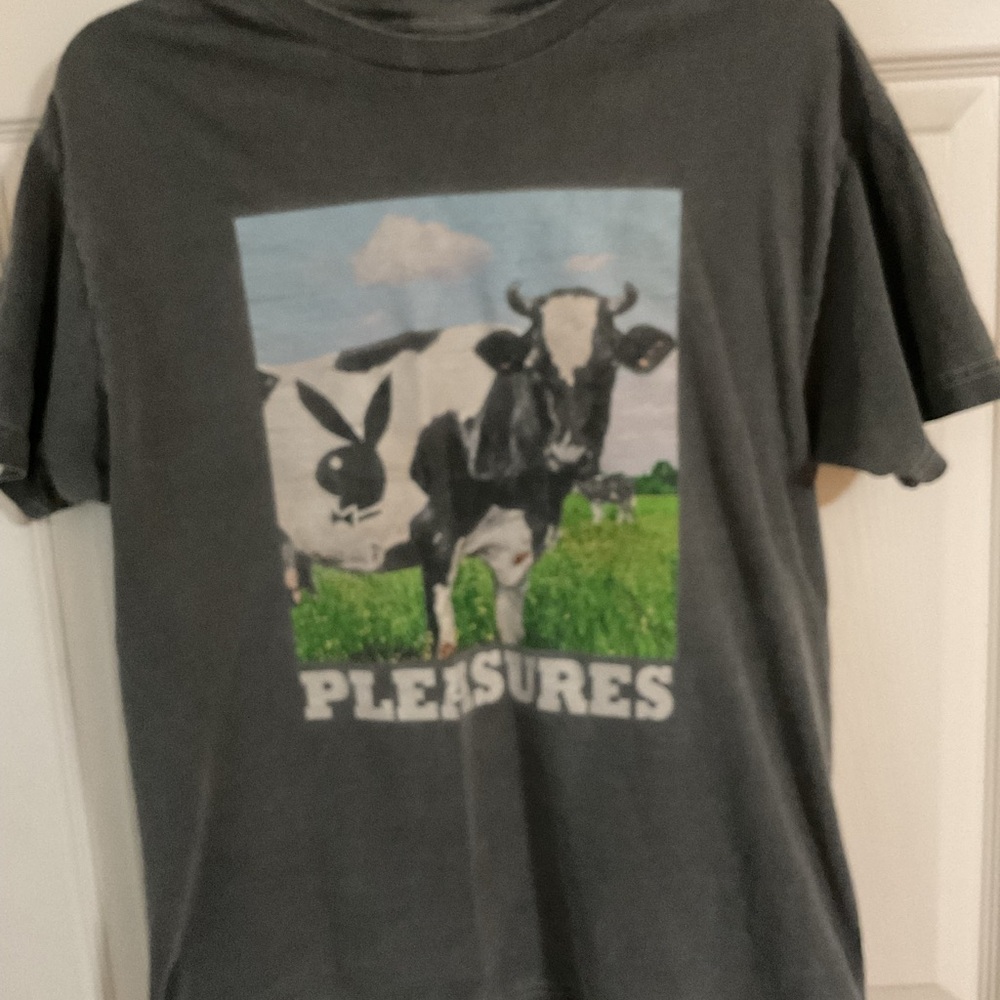 Pleasures x playboy cow grey tee shirt distressed large L